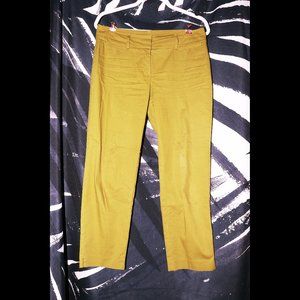 ANN TAYLOR SIZE 2 OLIVE PANTS